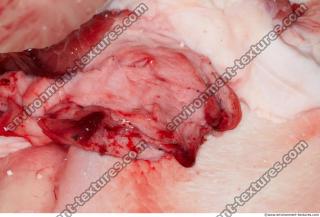 Photo Textures of RAW Beef Meat